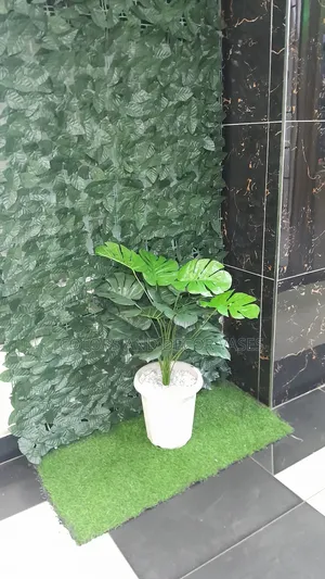 Monstera, Plastic Vase With Stones Decorative