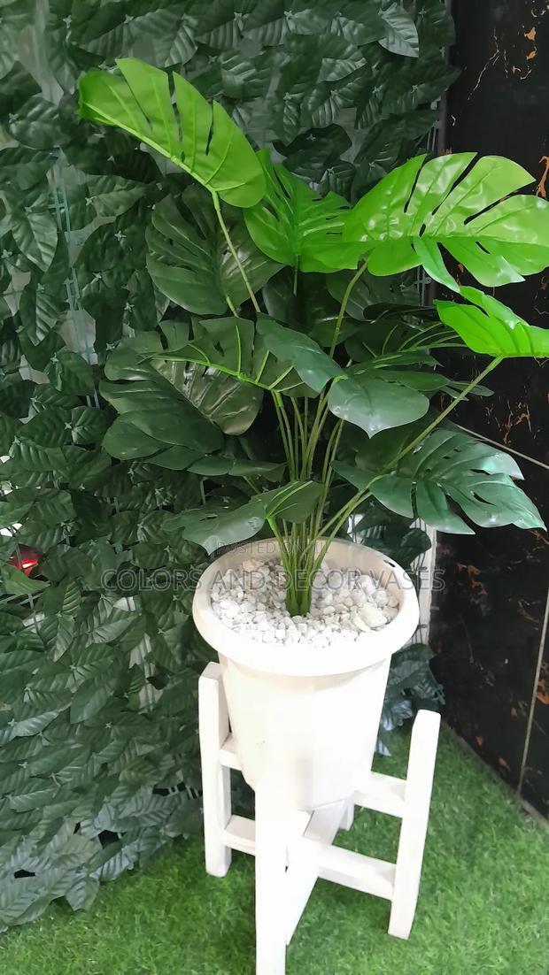 1.2m Stand,Plant Stand - main view