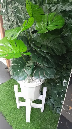 Plant Artificial, Plastic Vase/Decorative Stones