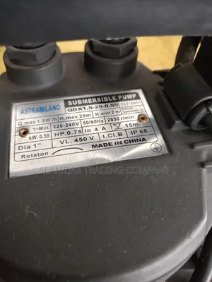 Submersible Water Pump
