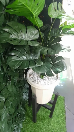 Black Stand,Plant and Vase