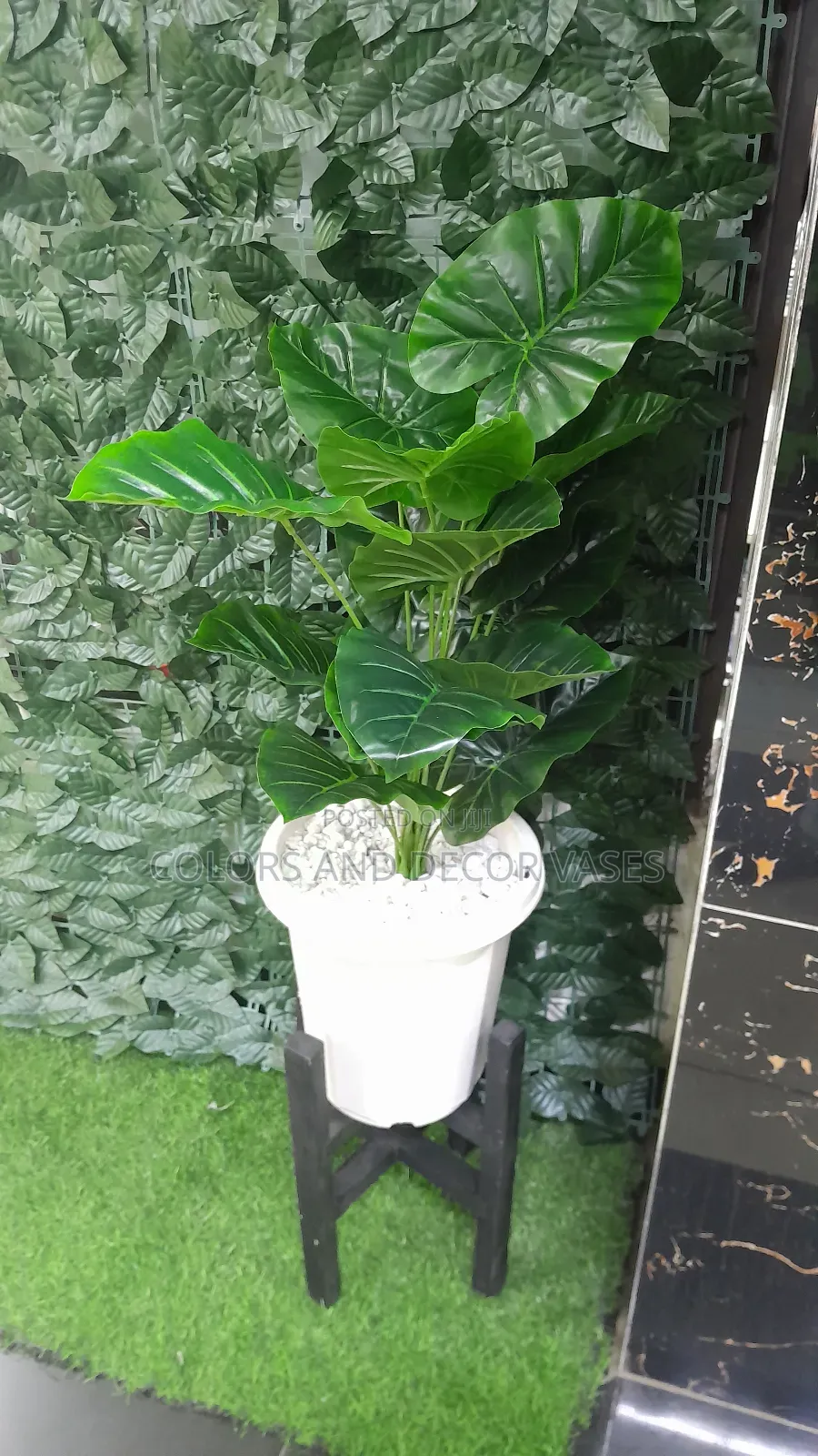 Green Plant, Vase and Stand