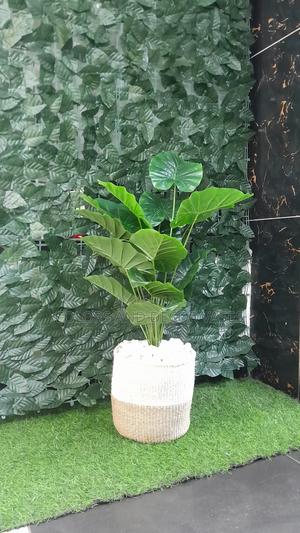 Basket 8" Stones and Plant - thumbnail 2