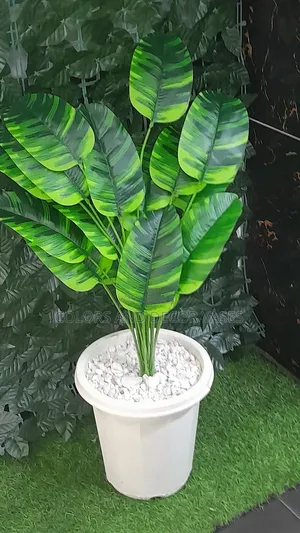 Vase, Banana 18leaves and White Decorative Pebbles