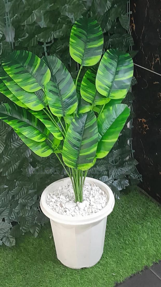 Vase, Banana 18leaves and White Decorative Pebbles