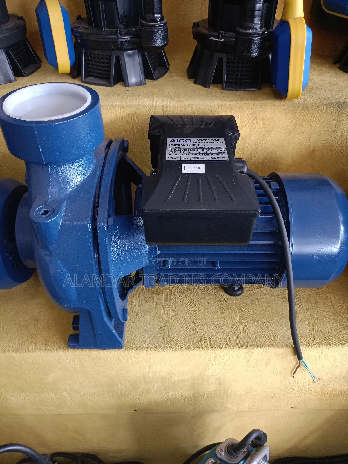 Booster Water Pump