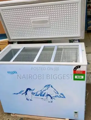 Energy Saver 169 Litres Icecool Freezer