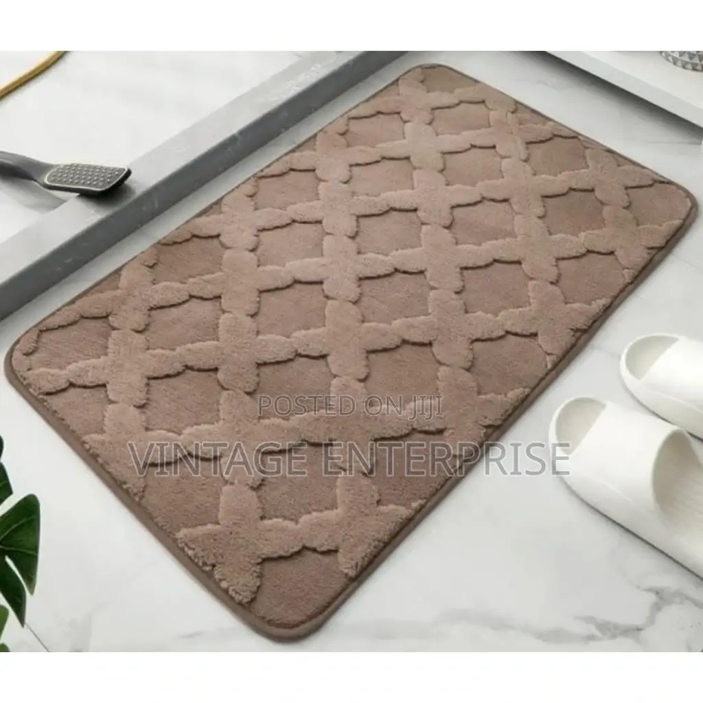 Bathroom Entrance Door Mat 
