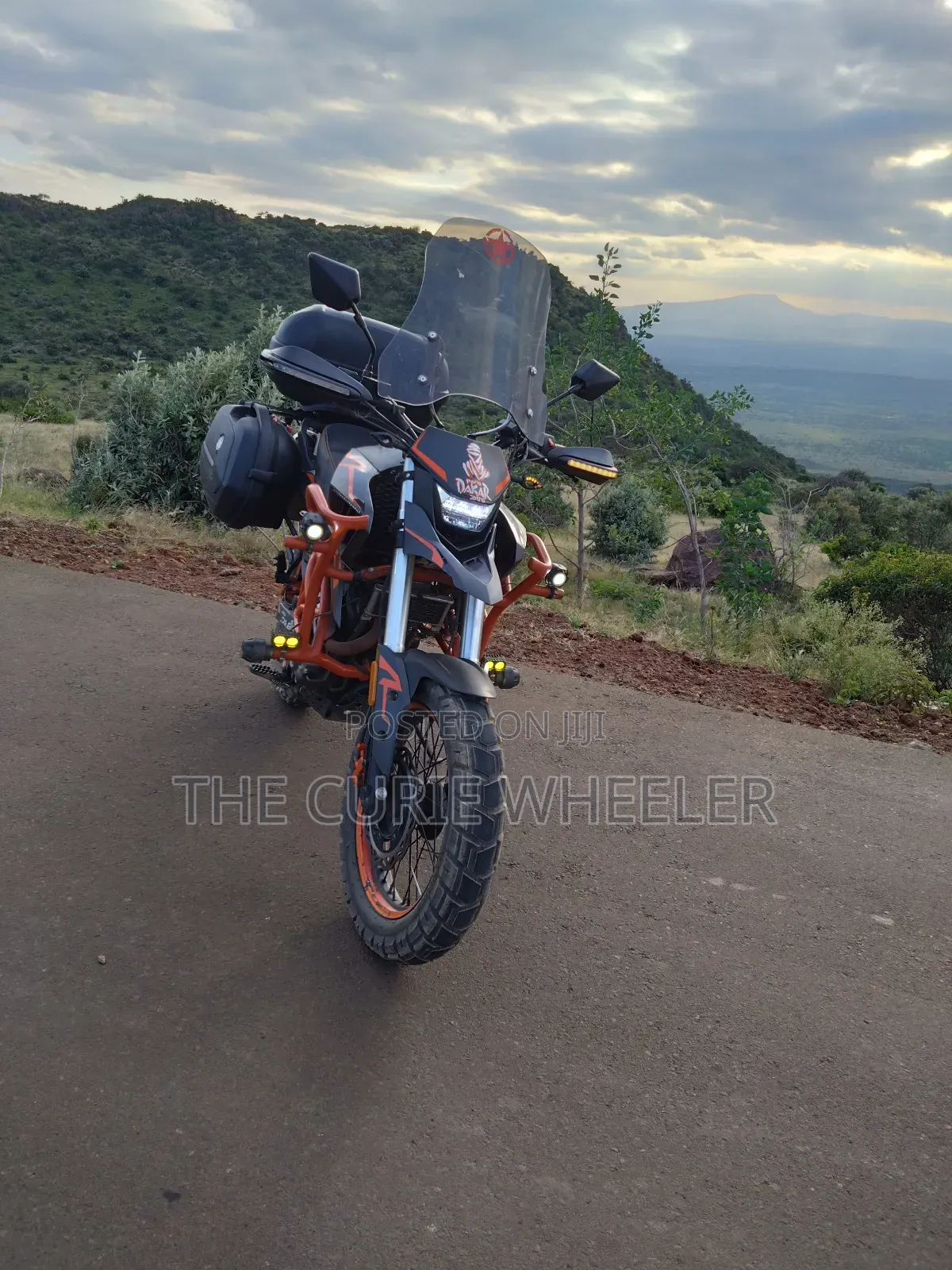Tekken Simba 250 2022 Orange