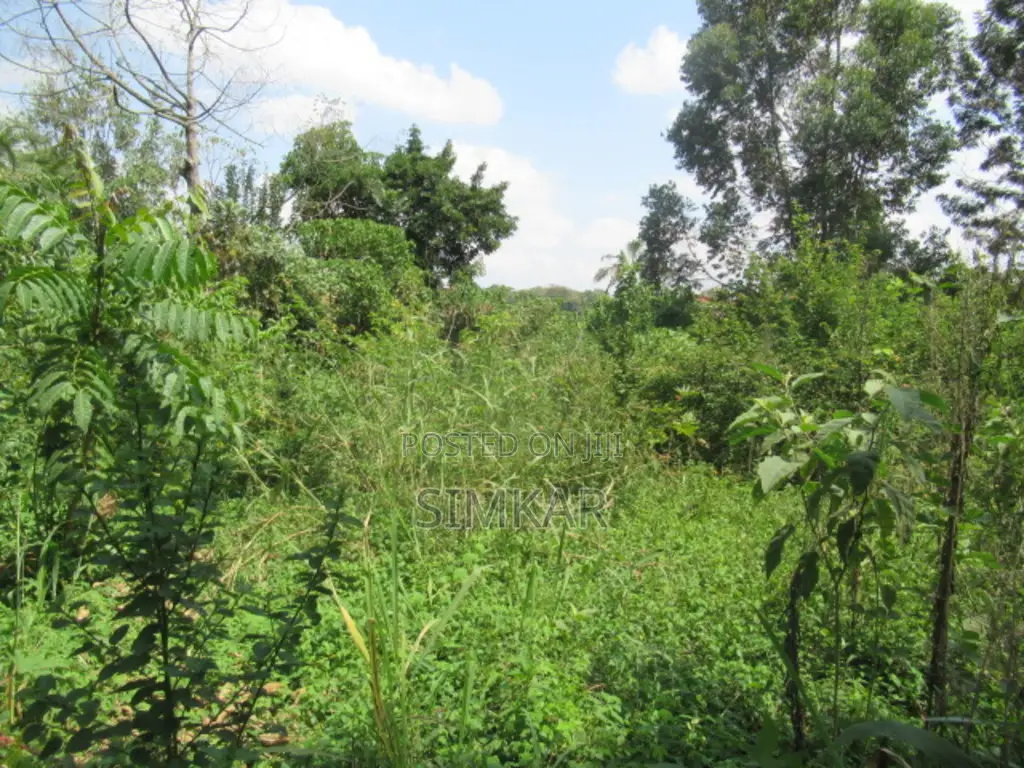 1-Acre Plot for Sale in Runda