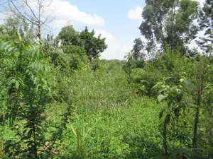 1-Acre Plot for Sale in Runda