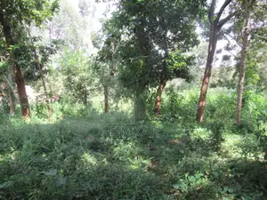 1-Acre Plot for Sale in Runda