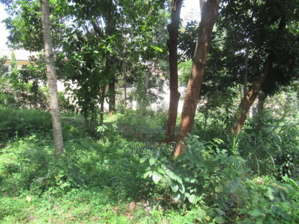 1-Acre Plot for Sale in Runda