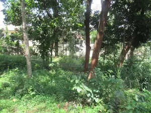1-Acre Plot for Sale in Runda