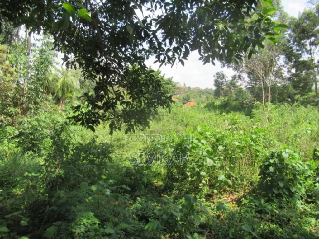 1-Acre Plot for Sale in Runda