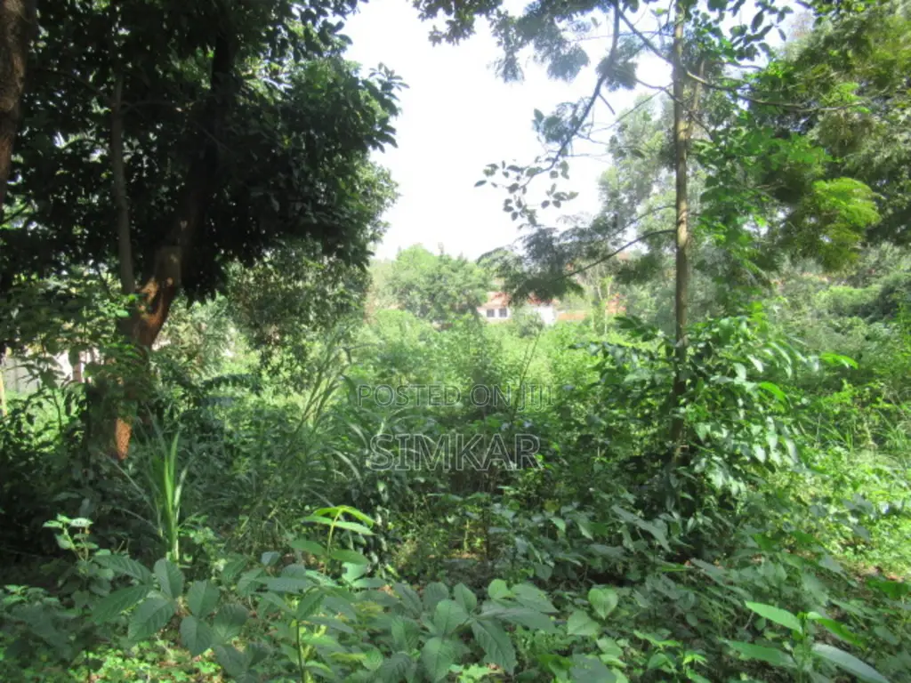 1-Acre Plot for Sale in Runda