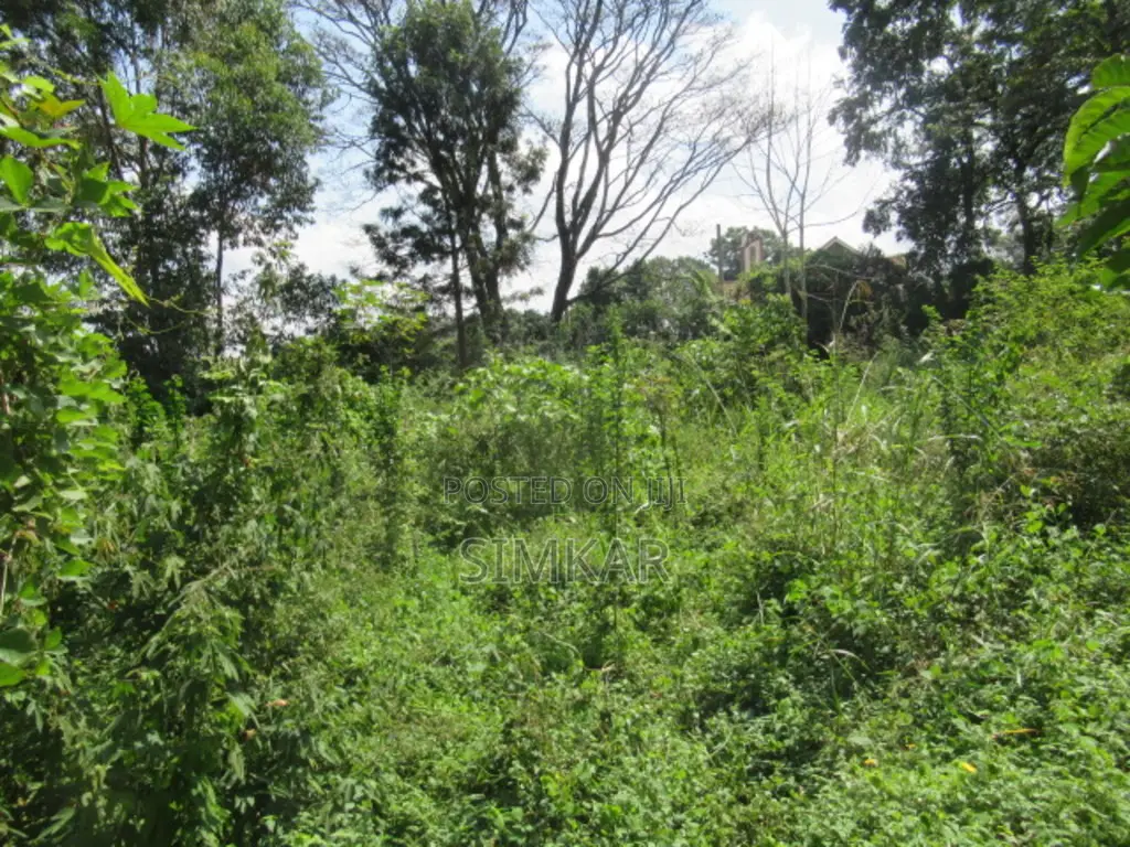 1-Acre Plot for Sale in Runda