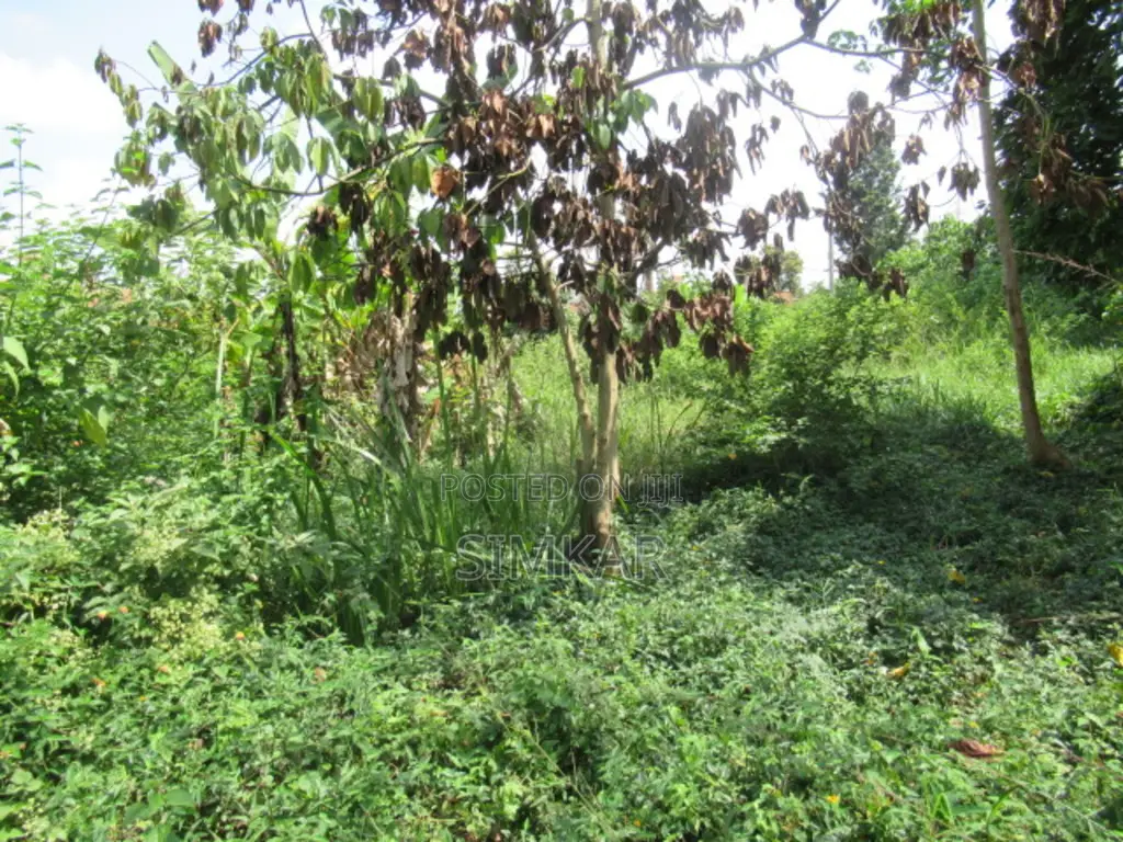 1-Acre Plot for Sale in Runda