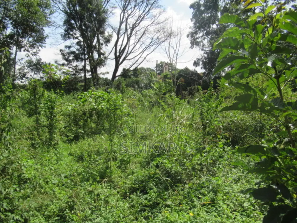 1-Acre Plot for Sale in Runda