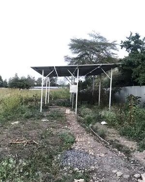 Solar Pump And Water Solution
