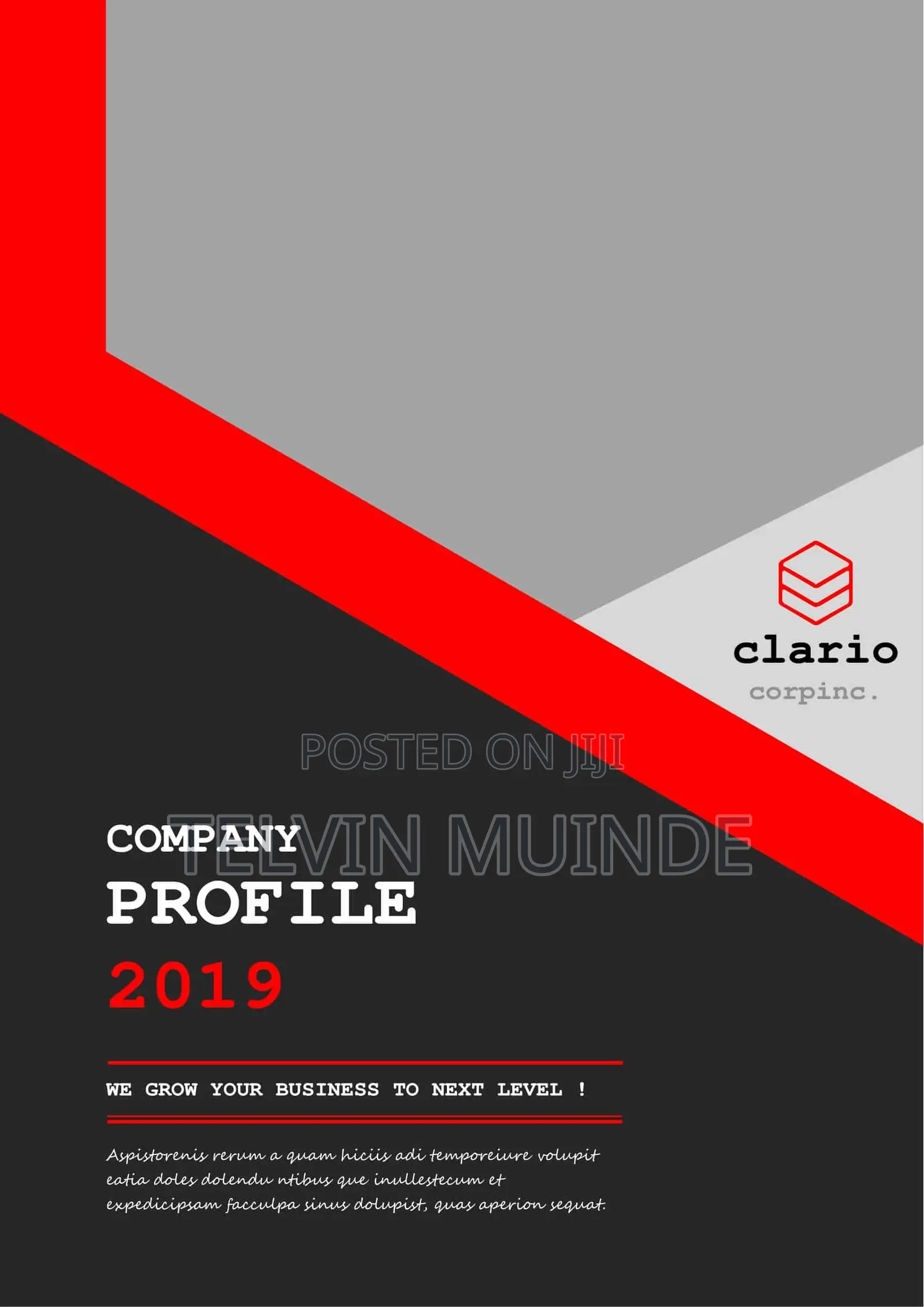 Company Profile Creation