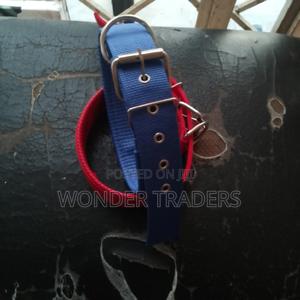 Dog Collar Dog Collar Dog Collar - thumbnail 2