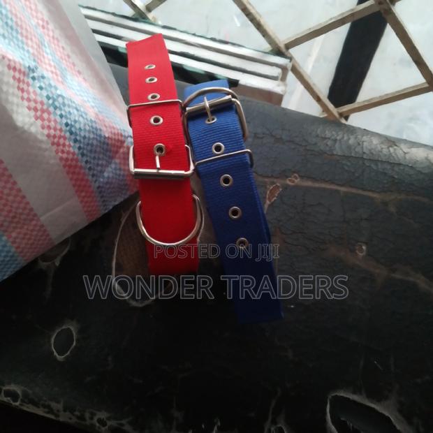 Dog Collar+Dog Collar+Dog Collar - main view