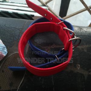 Dog Collar,"Dog Lease" - thumbnail 2