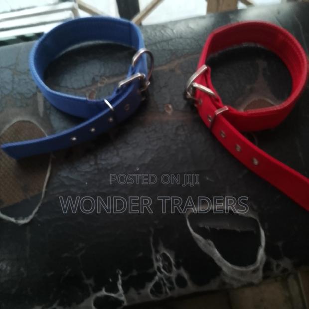 "Dog Collar,"Dog Lease" - main view
