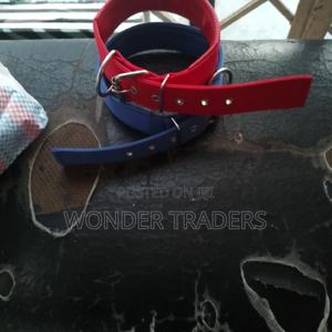 Dog Collar Brand New - thumbnail 2