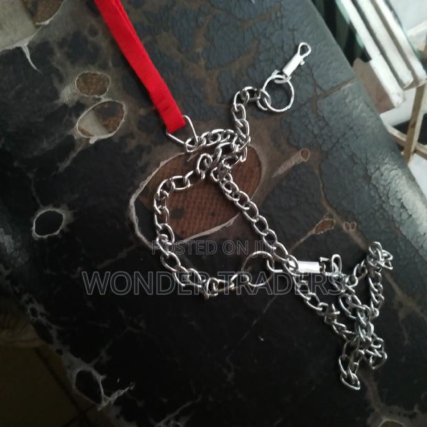 Dog Chain*Dog Chain * - main view