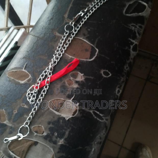 Dog Chain*Dog Chain *Chain - main view