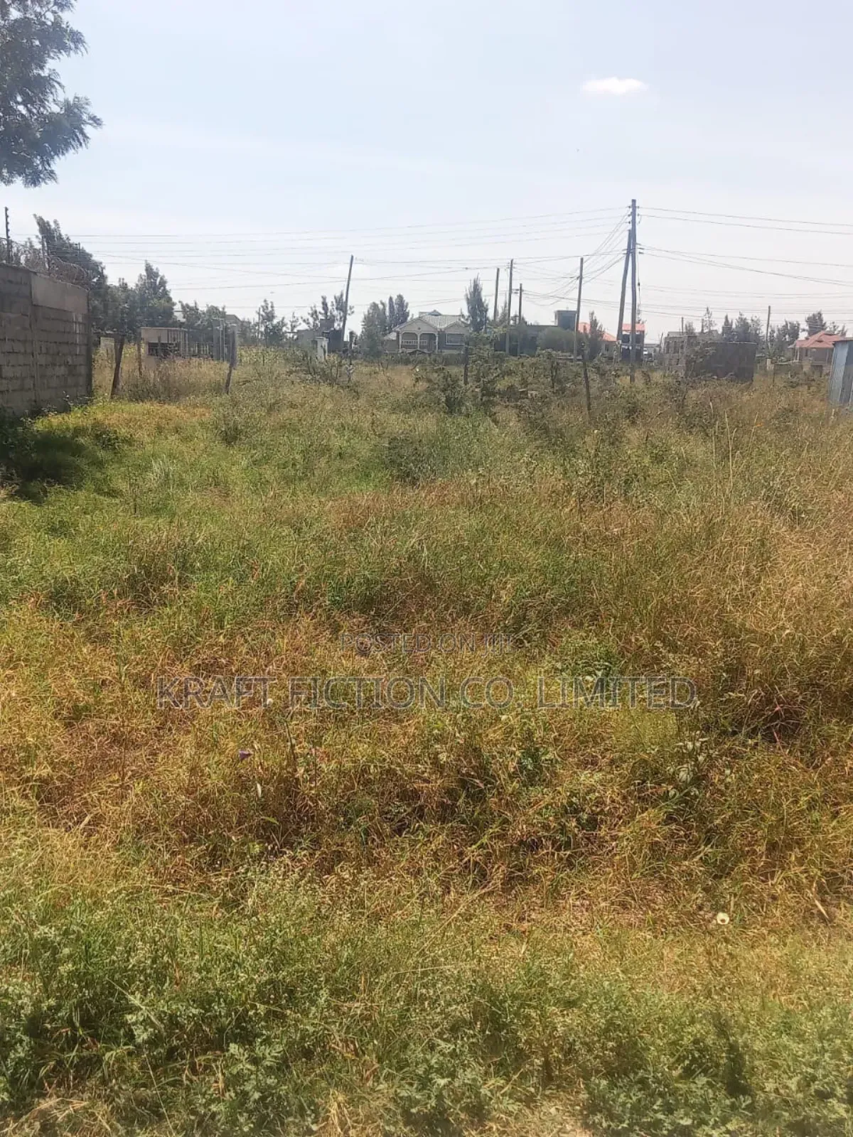 Magnificent Plot With Ready Title for Sale