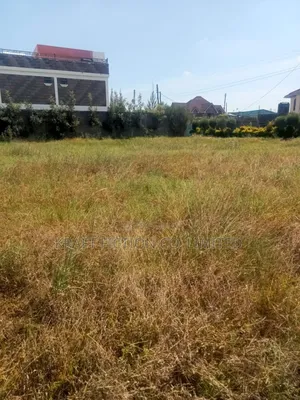 Magnificent Plot With Ready Title for Sale