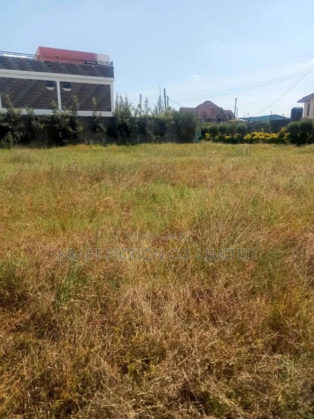 Magnificent Plot With Ready Title for Sale - thumbnail 5