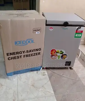 Best Icecool 109 Litres Freezer