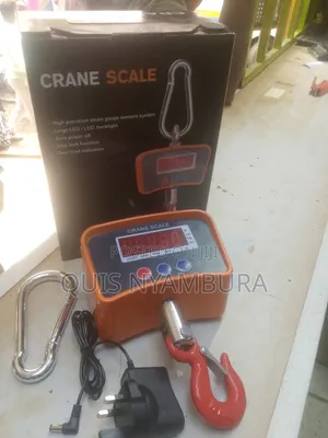 500kg Digital Weight Scale, Crane Scale.