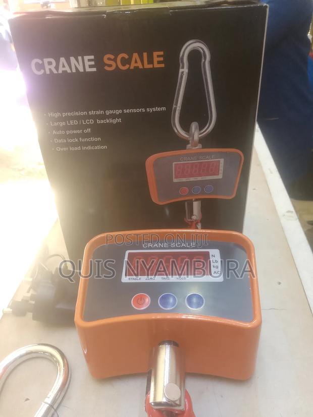 Digital Weighing Scale/ 500kg Crane Scale - main view
