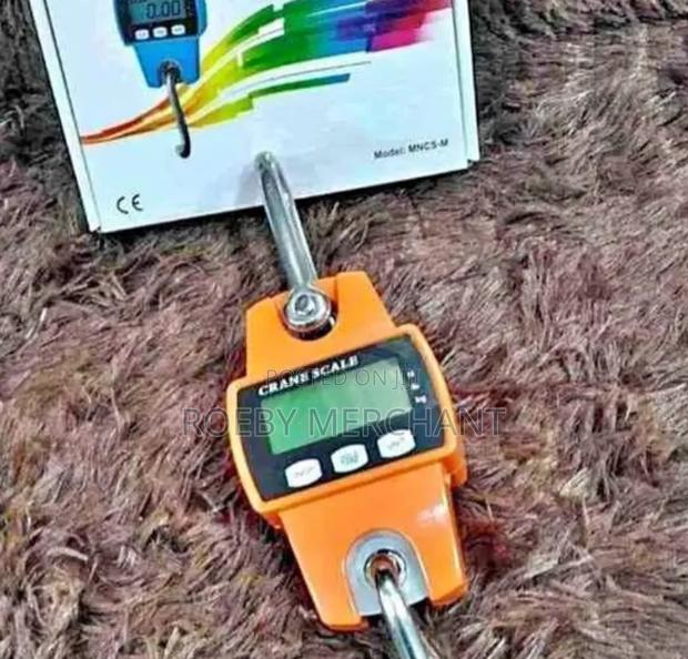 Ideal Crane Scale 300kgs - main view