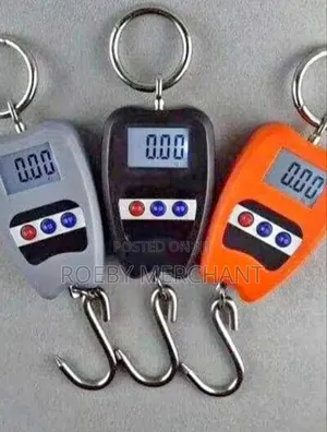 Crane Scale, 200kgs Mini Crane Scale