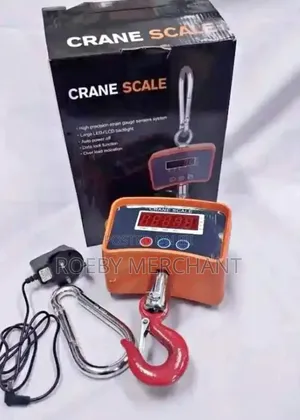 Crane Scale 500kgs