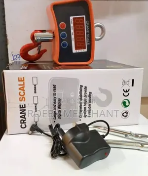 Commercial Electronic Crane Scale 500kgs