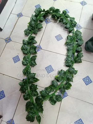 Money Plant/Climbers 2m Long Artificial