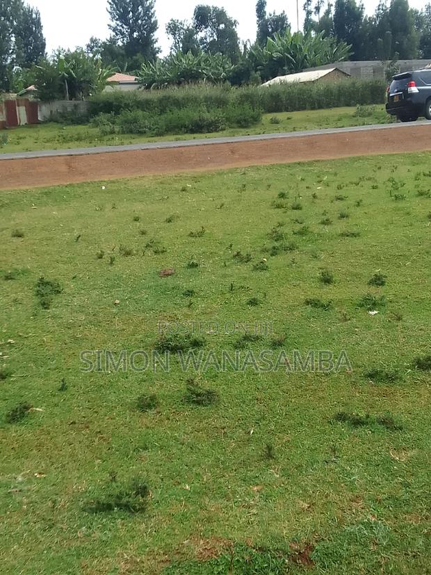 55*100 Plot - main view