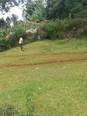 55*100 Plot
