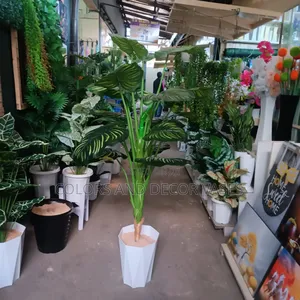 1.6m Long Stripped Plant With Vase KSH 7500 Plus Stones