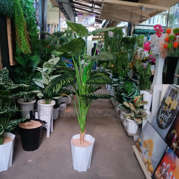1.6m Long Stripped Plant With Vase KSH 7500 Plus Stones