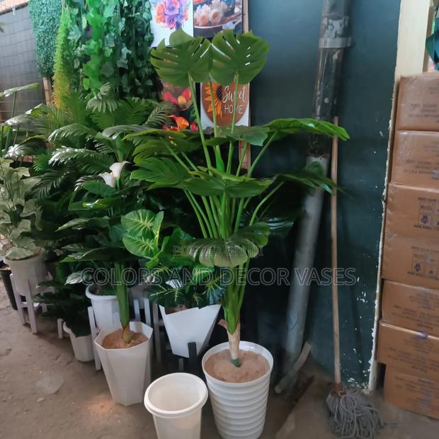 Big Monstera With Vase/Pebbles Stones