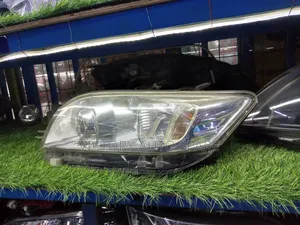 Vanguard Xenon Headlights