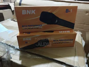 BNK B1 Wire Microphone
